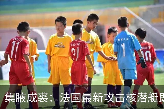 集腋成裘：法国最新攻击核潜艇即将下水 双管榴弹炮试验平台曝光