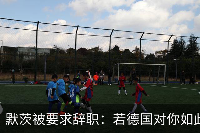 默茨被要求辞职：若德国对你如此宝贵，去找德总统解除你的职务